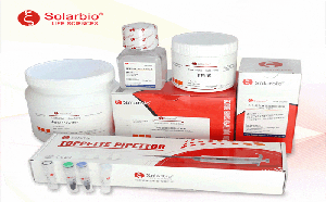 Precast-Gel 非變性預(yù)制膠 8-20%, 15 wells, 1.5 mm